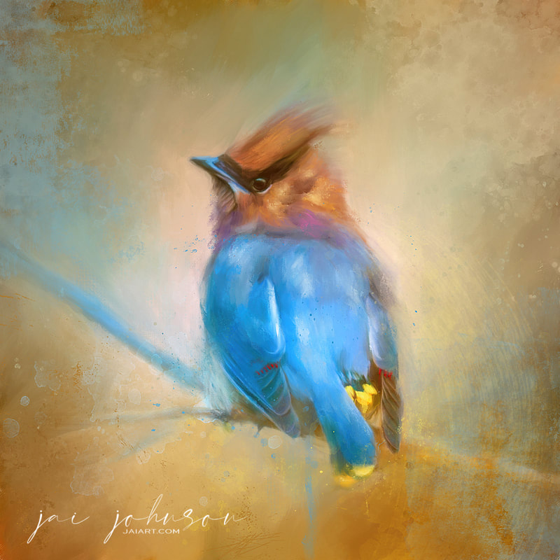 Pinte um pássaro no Procreate, Jai Johnson